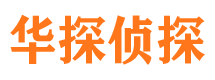 大悟寻人公司